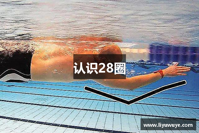 认识28圈